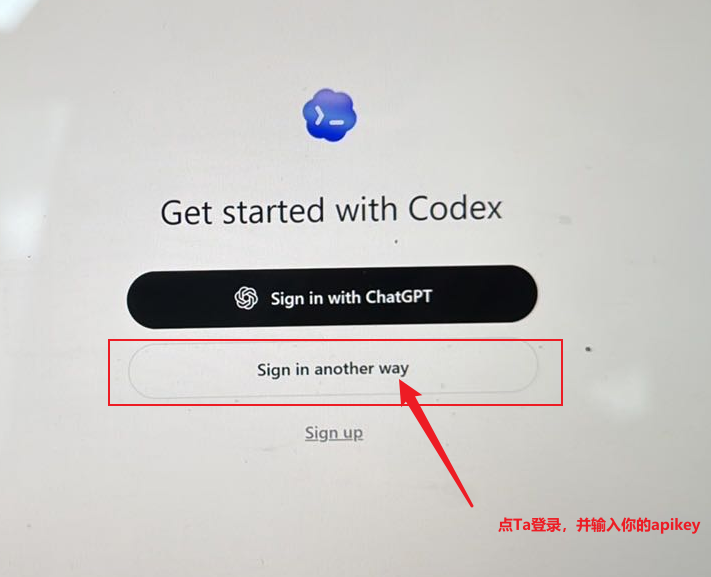 Codex 登录方式选择