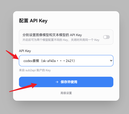 选择用于生图的 API Key