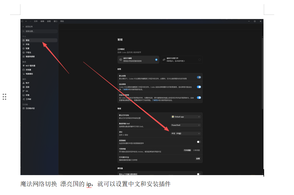 Codex 设置入口